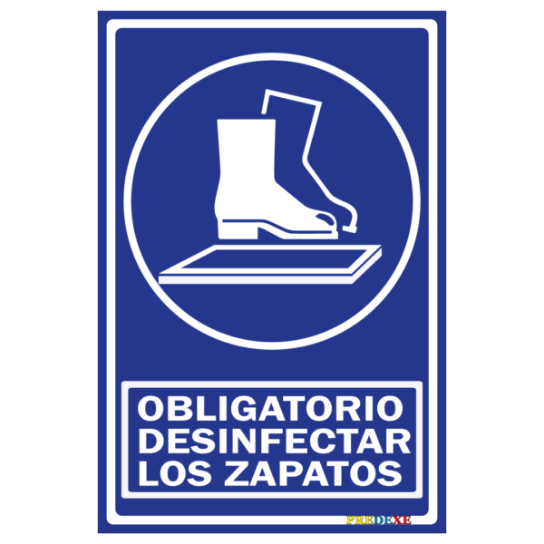 Desinfectar los zapatos