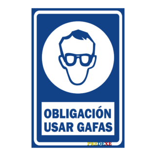 Usar gafas