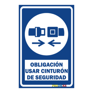 Usar cinturón de seguridad